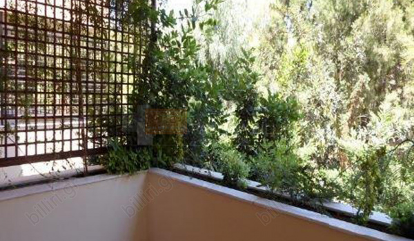 Εξωτερική όψη - Outdoor view